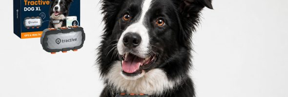 Tractive GPS Tracker: What Pet Owners Should Know Before Buying One